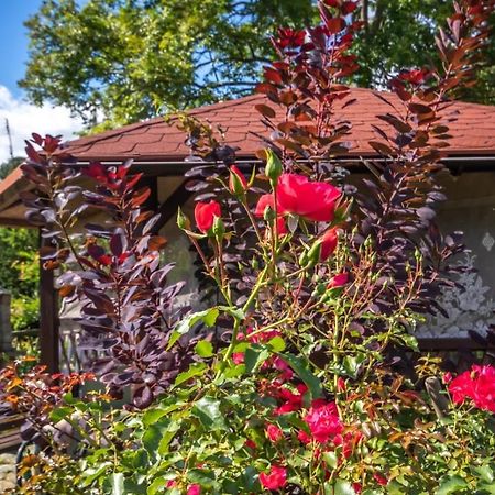 Ferienwohnung U Rybaka Braniewo Exterior foto