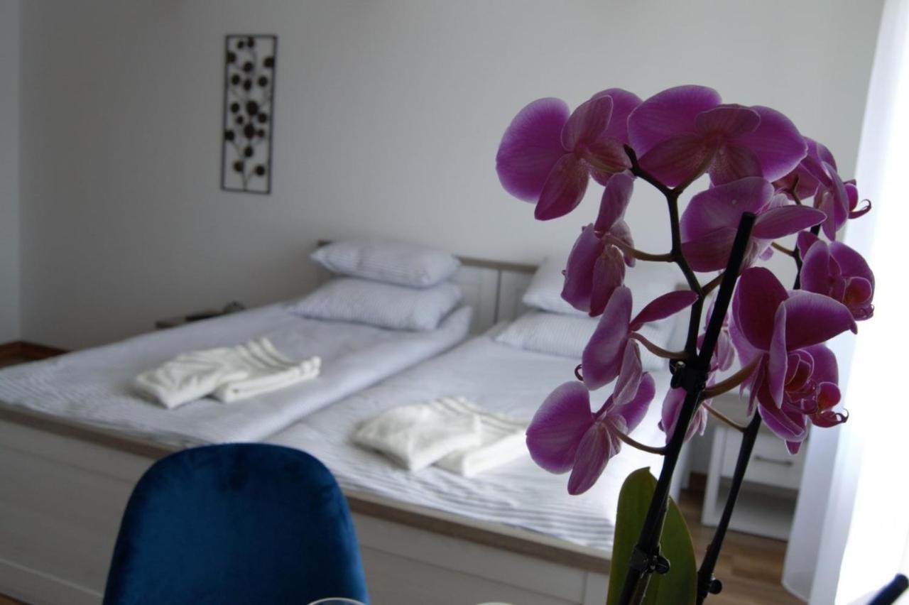 Ferienwohnung U Rybaka Braniewo Exterior foto